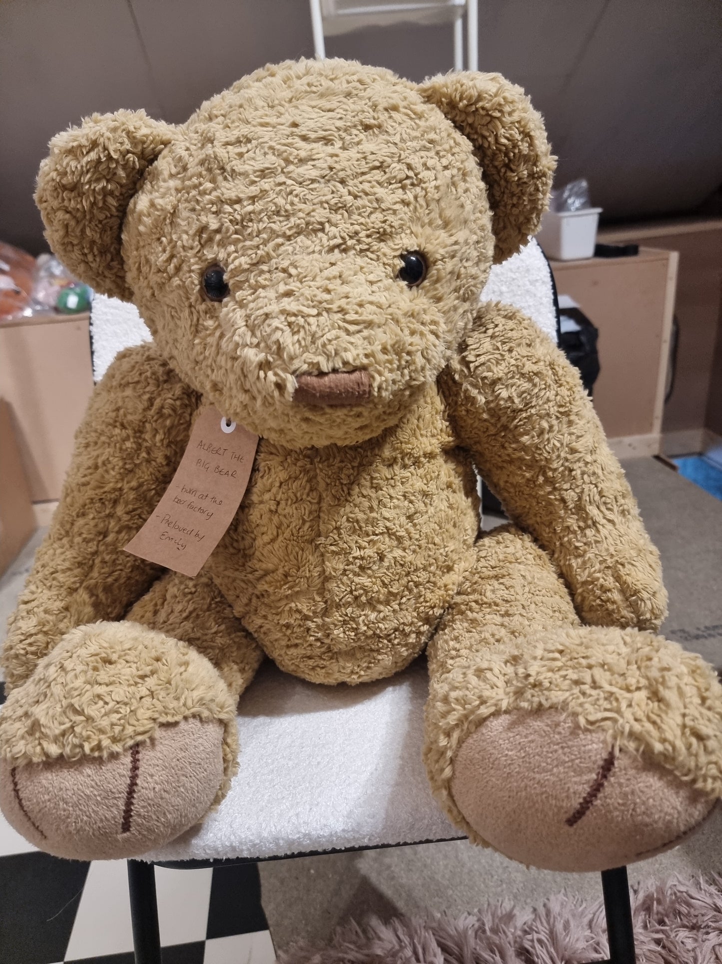 Rescued Plush and Teddies