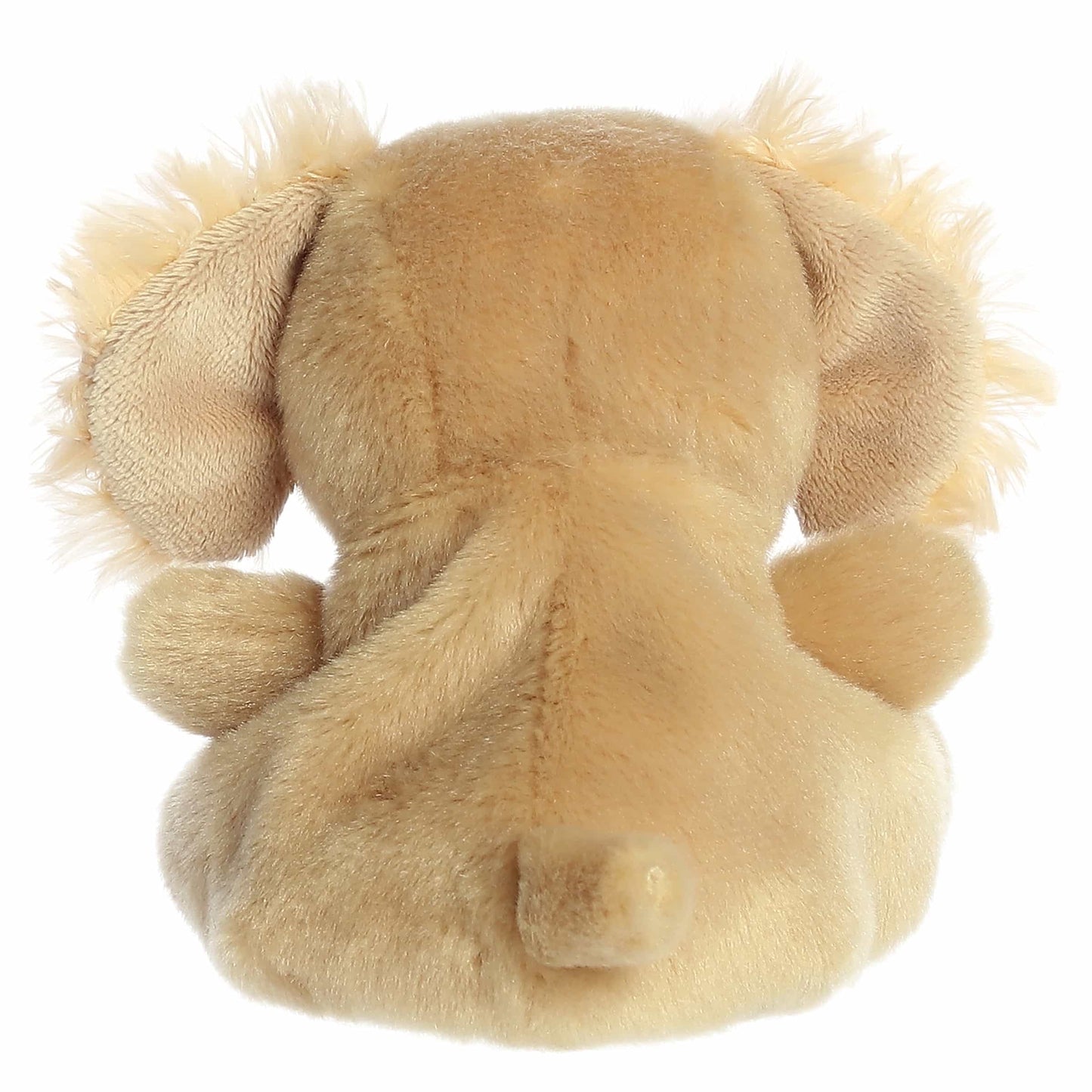 Palm Pals USA Oatmeal Goldendoodle Dog