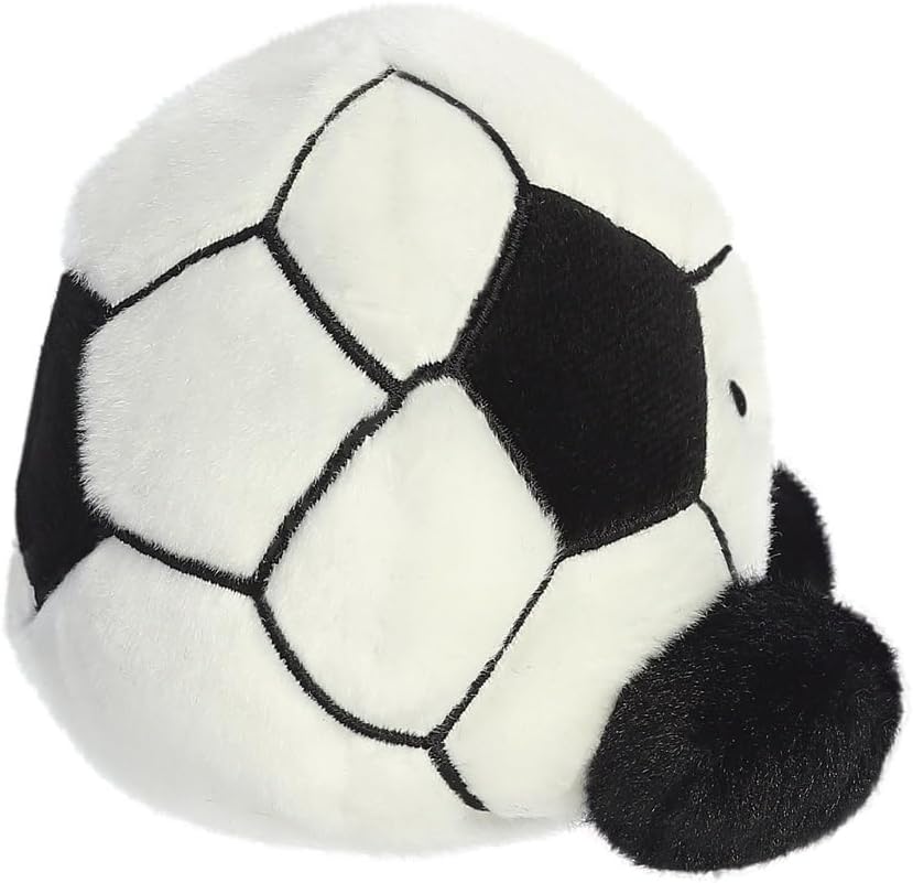 Palm Pals Football