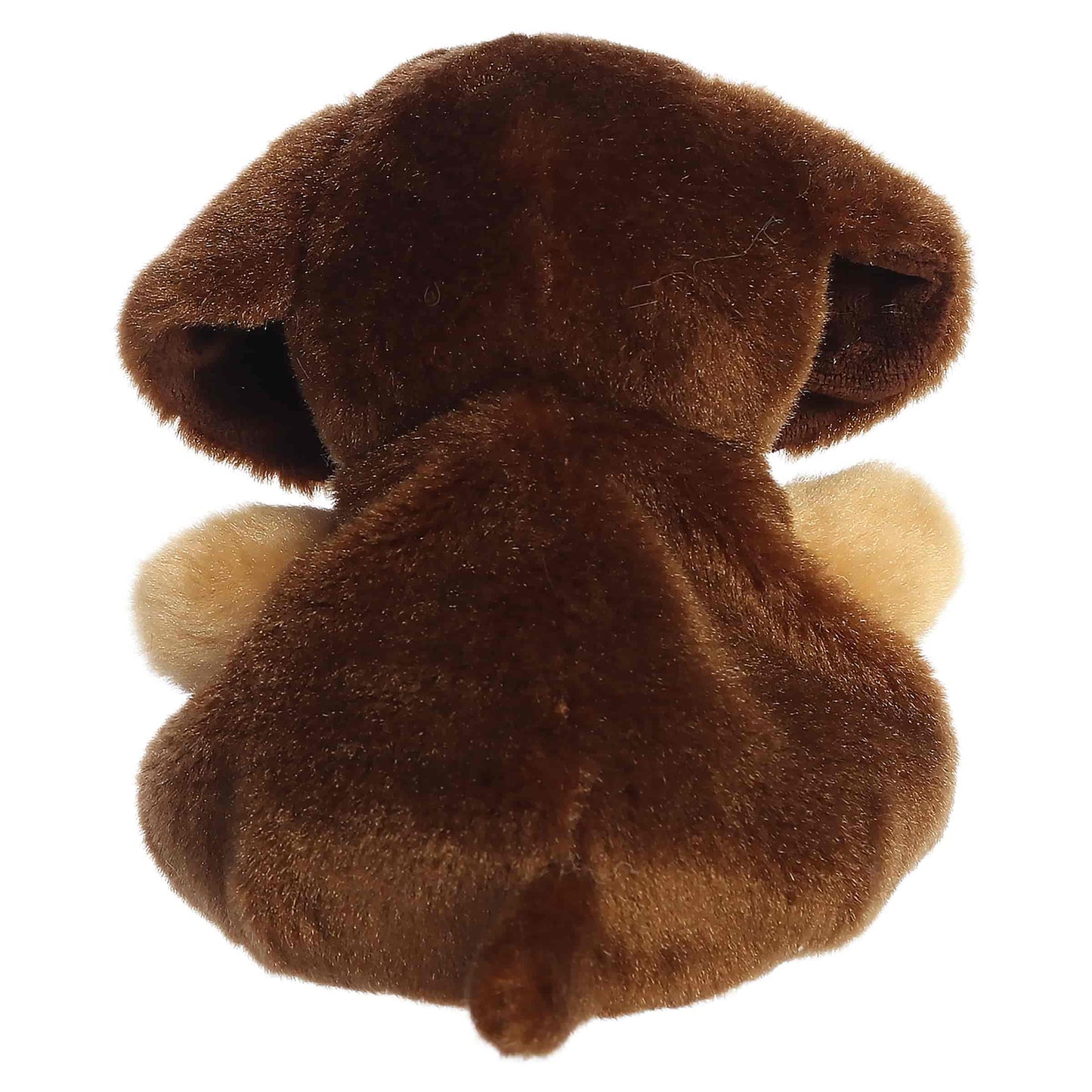 Palm Pals USA Houdini Dachshund Dog
