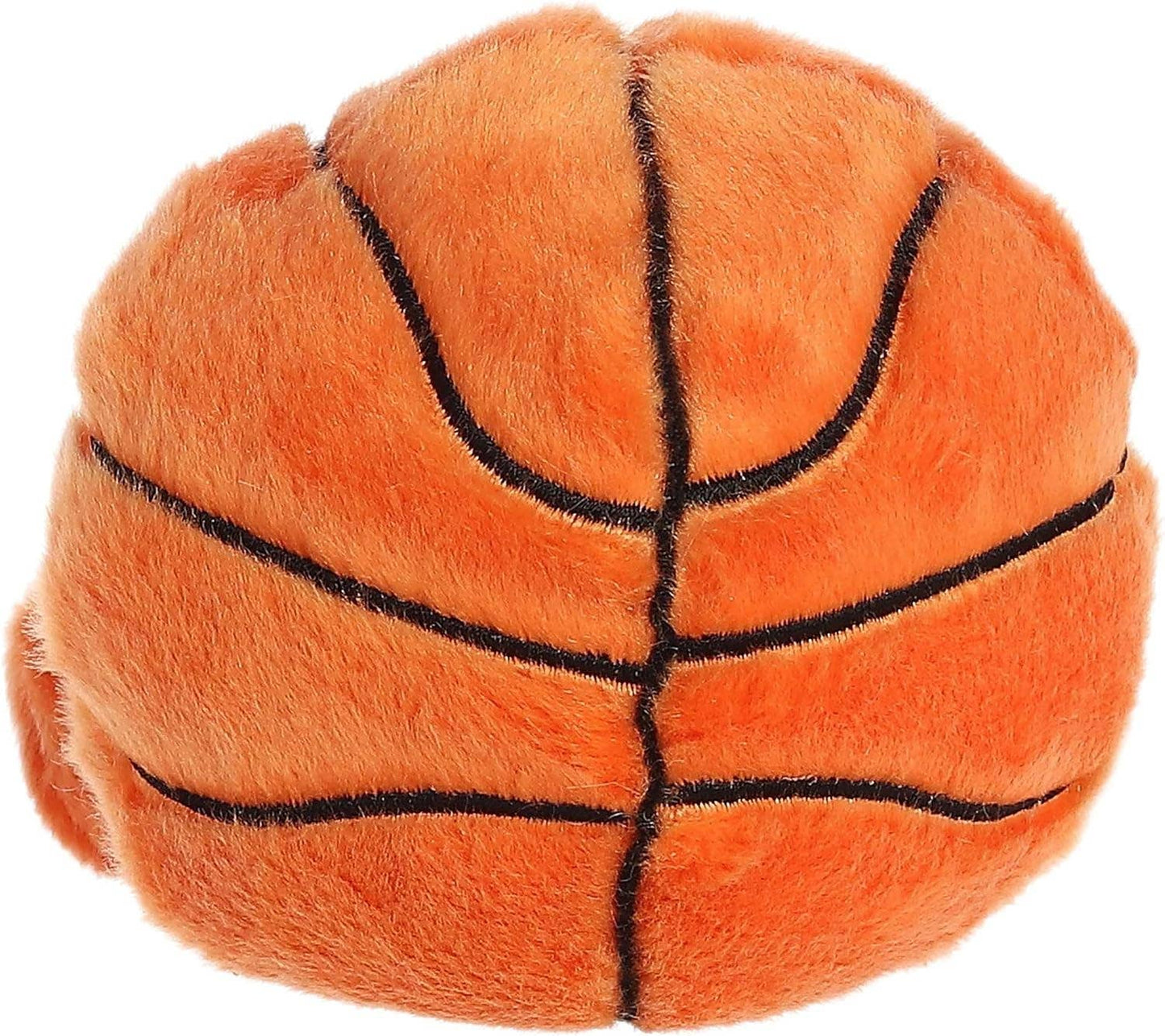 Palm Pals USA Hoops Basketball