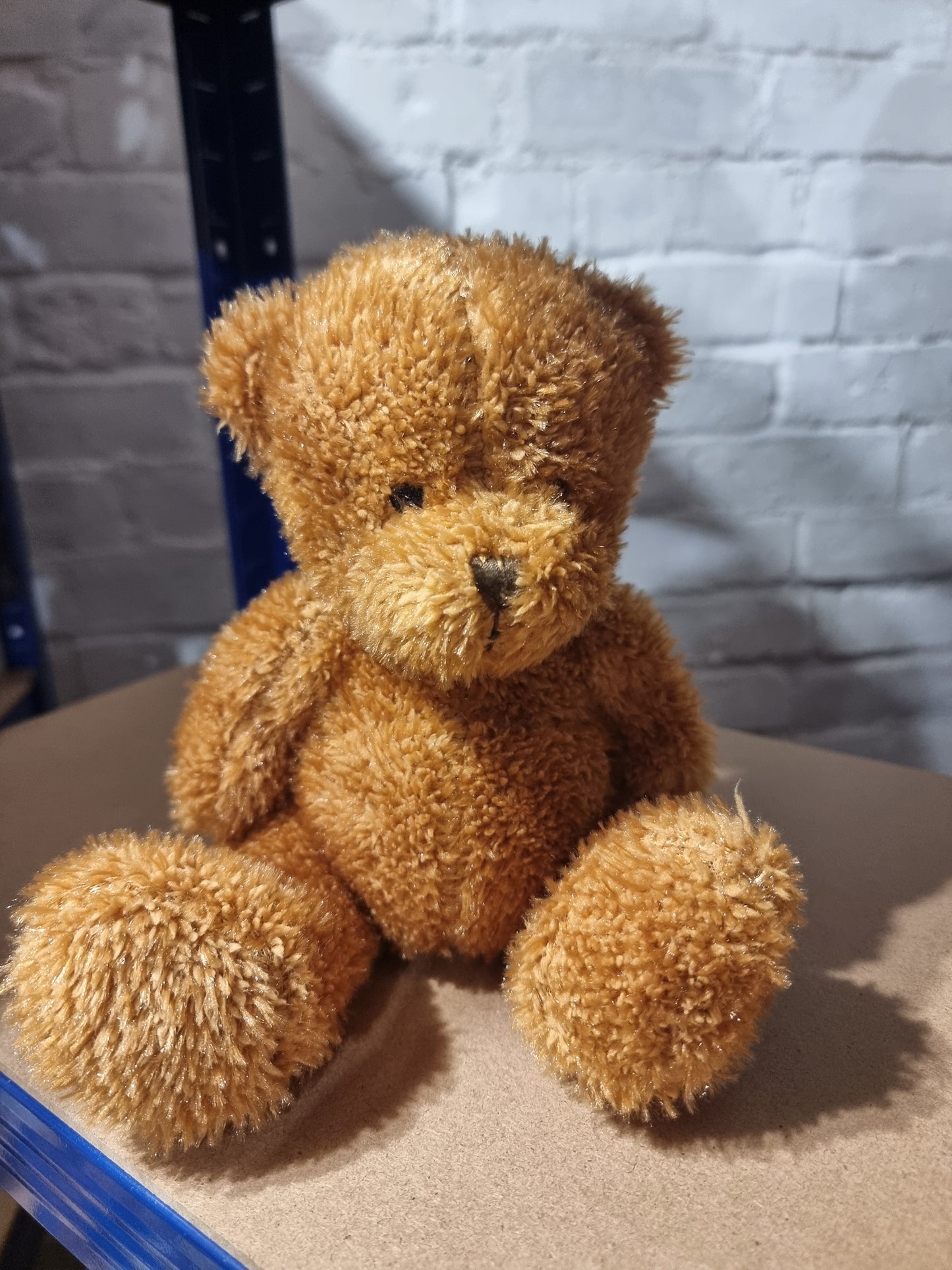 Rescued Plush and Teddies