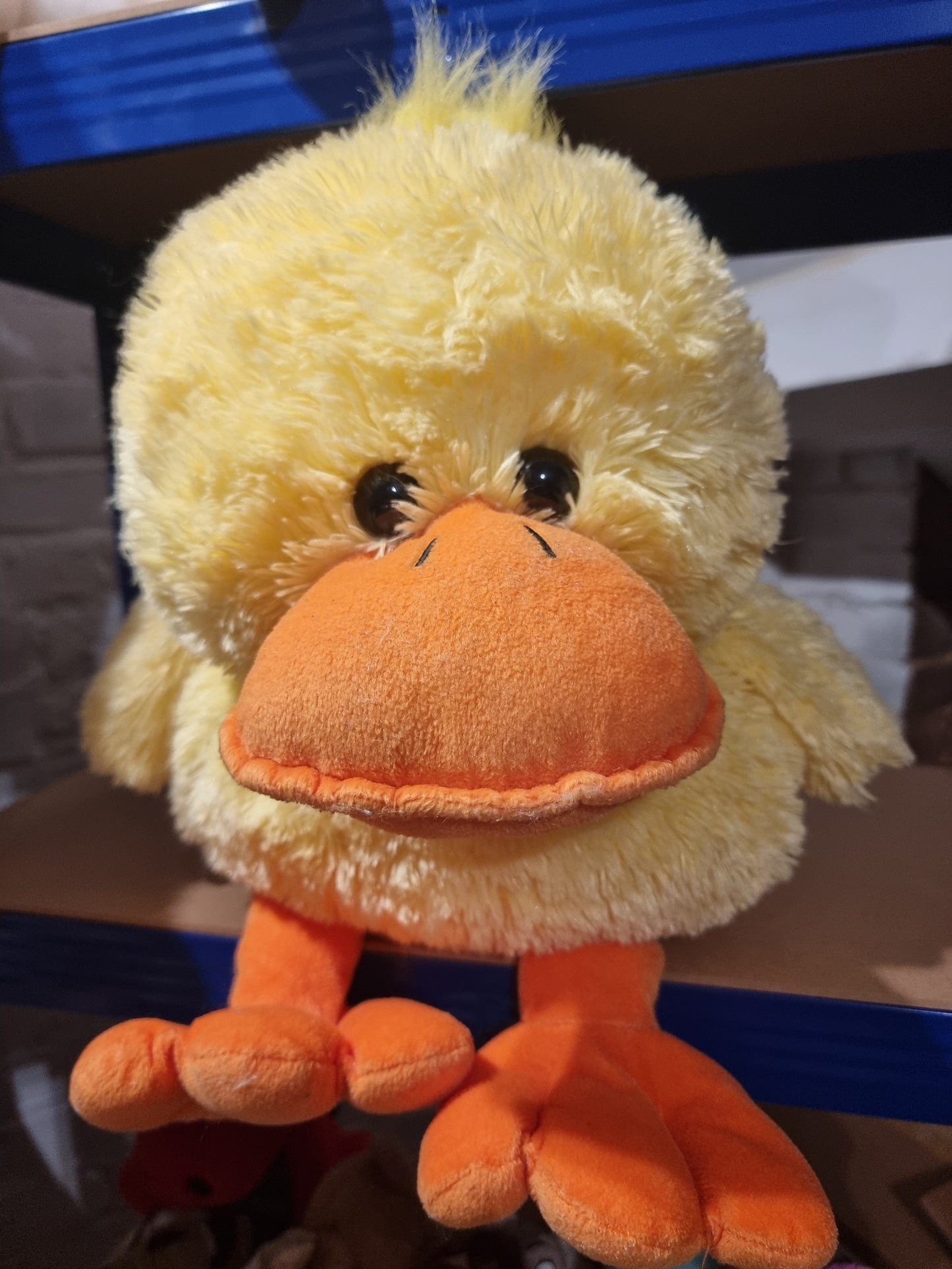 Rescued Plush and Teddies