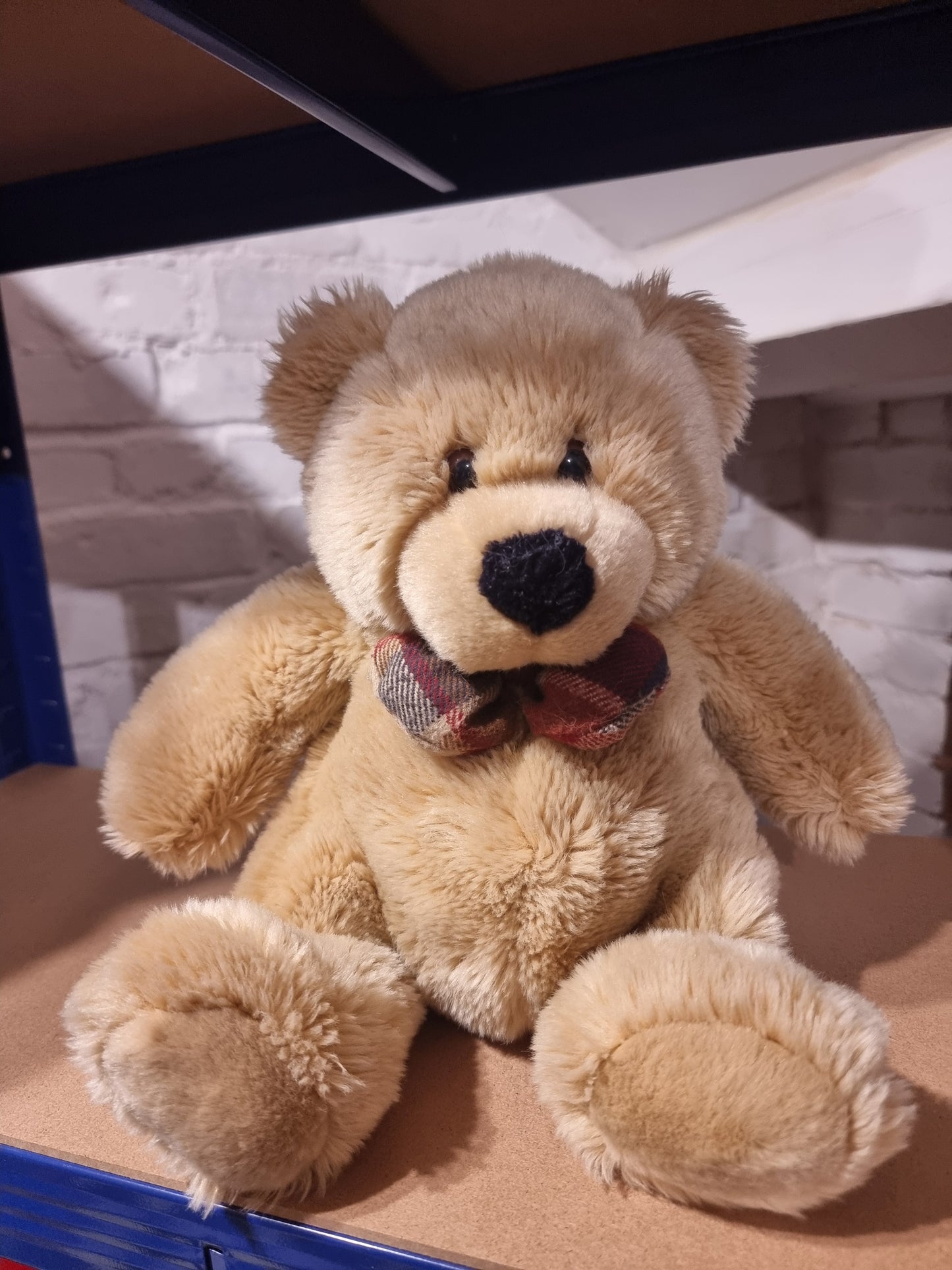 Rescued Plush and Teddies