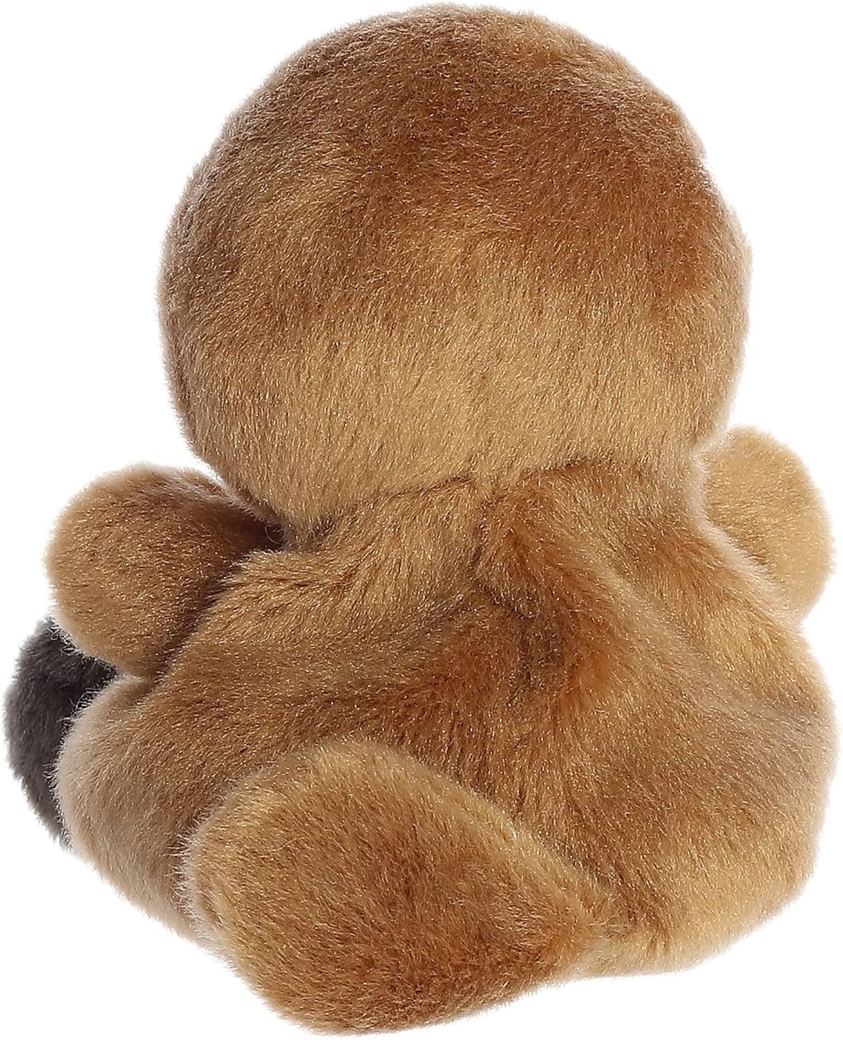 Palm Pals Platypus