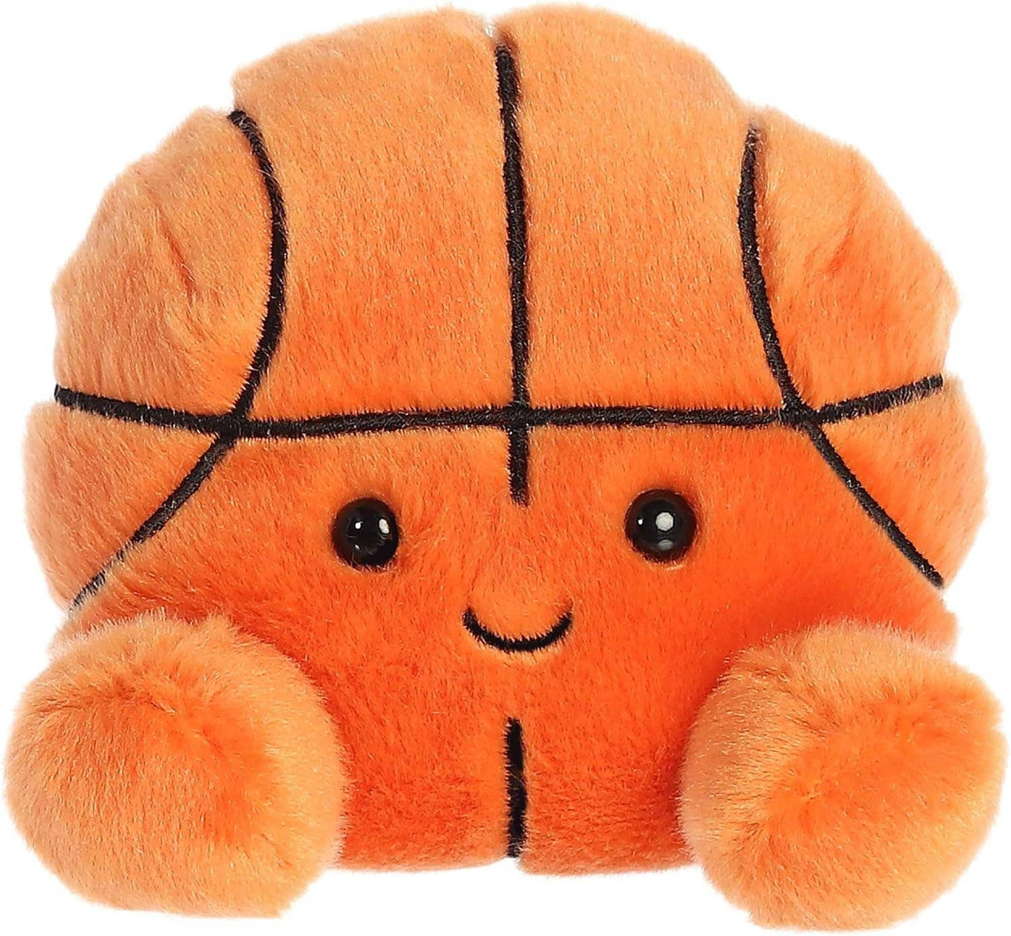 Palm Pals USA Hoops Basketball