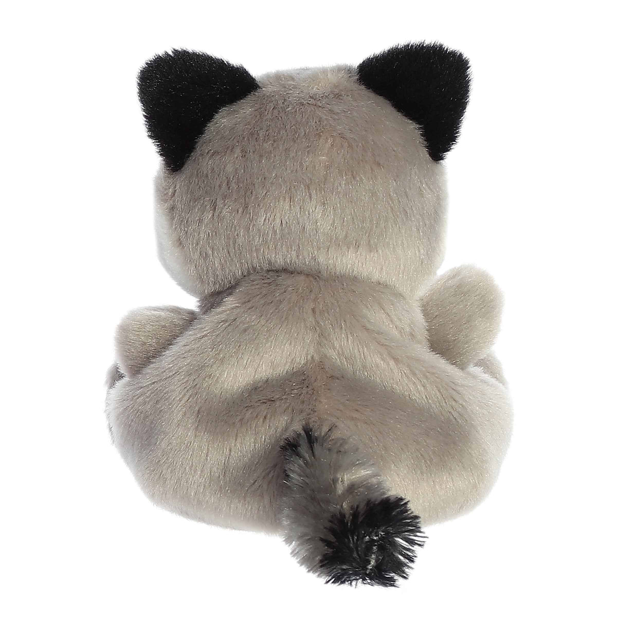 Palm Pals USA Rascal Raccoon