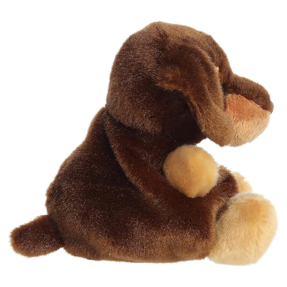 Palm Pals USA Houdini Dachshund Dog