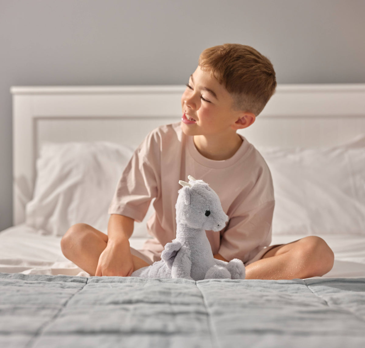 Charlie Bears Draco Dragon Cloudy Grey Soft Plush