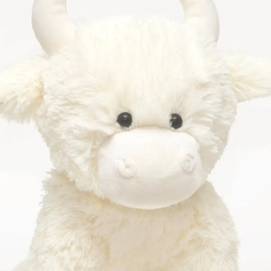 Close-up of a cream-colored plush toy with black eyes on a white background
