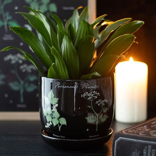 Gothic Botanical Plant Pot